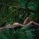 Nude woman lying on a mossy tree trunk in a dark green forest nature s... (thumbnail)