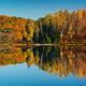 Panoramic autumn nature scenery of colorful forest reflecting in still... (thumbnail)