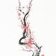 Zen style Sumi-e painting of Red plum blossom Sakura branch with pink... (thumbnail)