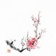 Fine art Sumi-e painting of a plum blossom branch with pink flowers... (thumbnail)