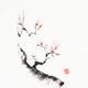 Sumi-e painting of a Sakura cherry blossom branch with budding flowers