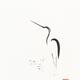 Zen Sumi-e painting of a graceful tall heron and young bamboo