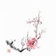 Sumi-e painting of plum blossoms sakura tree branch with pink flowers