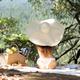 Cute woman in sun hat and underwear relaxing in sunshine at a picnic i... (thumbnail)