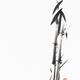 Two bamboo stalks and leaves. Minimalist Zen style abstract fine art p... (thumbnail)