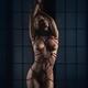 Gorgeous nude woman standing with Shibari bondage ropes around her sen... (thumbnail)