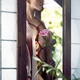 Woman standing at a window with Shibari bondage ropes tied around her... (thumbnail)