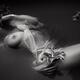 Abstract fine art nude closeup of a beautiful woman lying naked submer... (thumbnail)