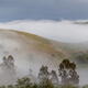 Panoramic scenery of a misty landscape at Hunter Valley, Australia... (thumbnail)