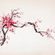 Fine art Zen Sumi-e painting of a crooked blossoming sakura branch wit... (thumbnail)