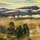 Fog covered hills in misty sunset landscape of Hunter Valley, Australi... (thumbnail)