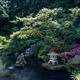 Stone lantern by a pond in Portland Japanese Zen Garden... (thumbnail)