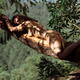 Beautiful nude woman lying wrapped around a tree branch with her naked... (thumbnail)