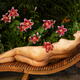 Back of nude sexy woman with wet sun-tanned naked body lying on chaise... (thumbnail)