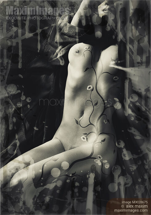 Stock photo of Abstract artistic nude artwork of woman body with cherry blossom design Buy commercial use license at MaximImages