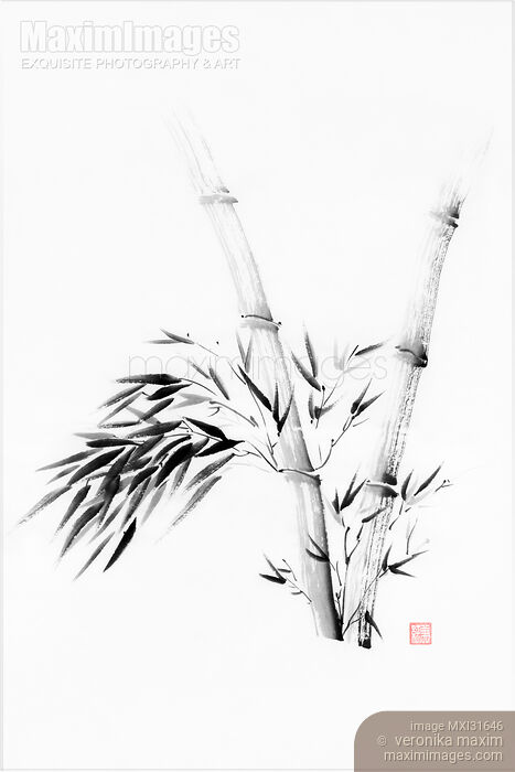 Stock image of Abstract bamboo stalks and bushy leaves sumi-e ink painting Buy commercial use license at MaximImages