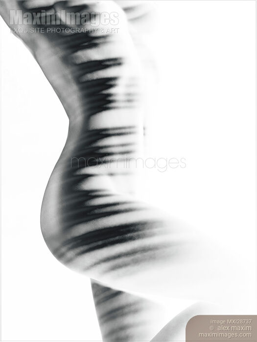 Abstract black and white nude woman body with on white background Stock photo of Abstract black and white nude woman body with on white background Buy commercial use license at MaximImages
