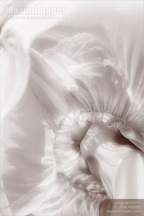 Abstract sexy woman half-naked body in sunlight under a light dress artistic nude black and white Stock photo of Abstract sexy woman half-naked body in sunlight under a light dress artistic nude black and white Buy commercial use license at MaximImages