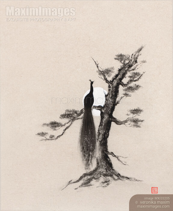 Abstract Zen sumi-e painting of a peacock silhouette perching on the pine tree in the full moon Stock image of Abstract Zen sumi-e painting of a peacock silhouette perching on the pine tree in the full moon Buy commercial use license at MaximImages