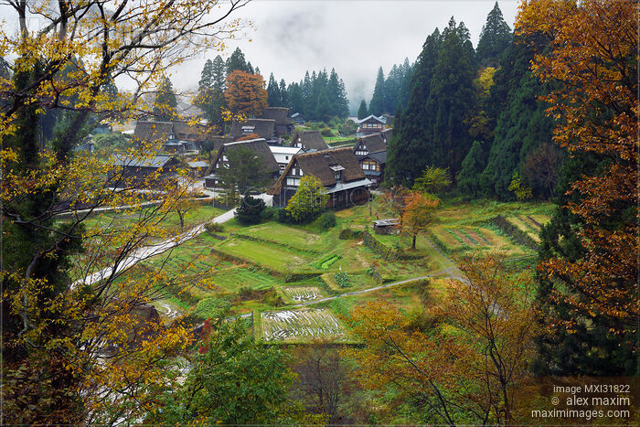 Stock photo of Aerial autumn scenery of Ainokura Japanese village with Gassho style rural houses Toyama Japan Buy commercial use license at MaximImages