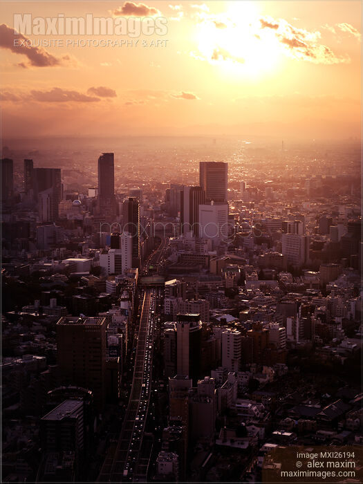Aerial sunset scenery of Shibuya Tokyo Stock photo of Aerial sunset scenery of Shibuya Tokyo Buy commercial use license at MaximImages