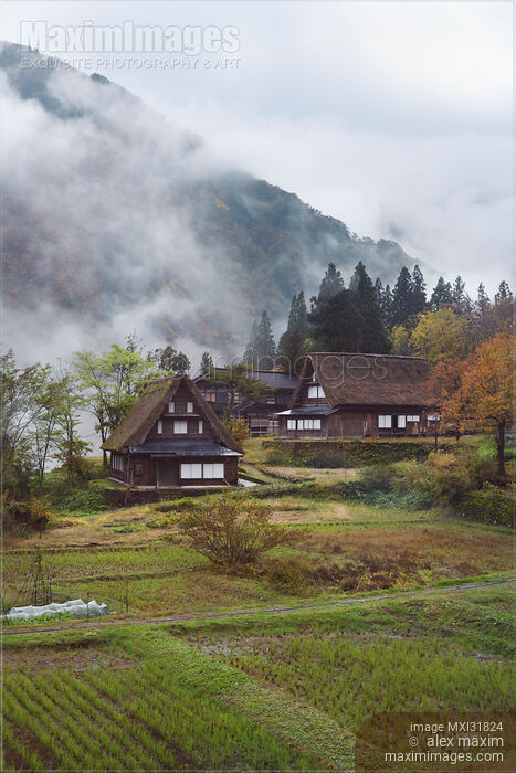Stock photo of Ainokura Japanese mountain village Gassho-style houses and rice paddies in a foggy autumn morning scenery Japan Buy commercial use license at MaximImages