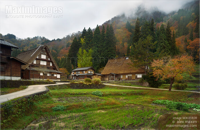 Stock photo of Ainokura mountain village with traditional Gassho farm houses and rice paddies in autumn scenery Japan Buy commercial use license at MaximImages