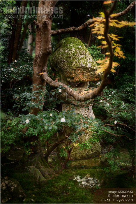 Ancient Japanese Ishidoro stone lantern at Tenjuan Temple pond Zen garden in Kyoto Stock photo of Ancient Japanese Ishidoro stone lantern at Tenjuan Temple pond Zen garden in Kyoto Buy commercial use license at MaximImages
