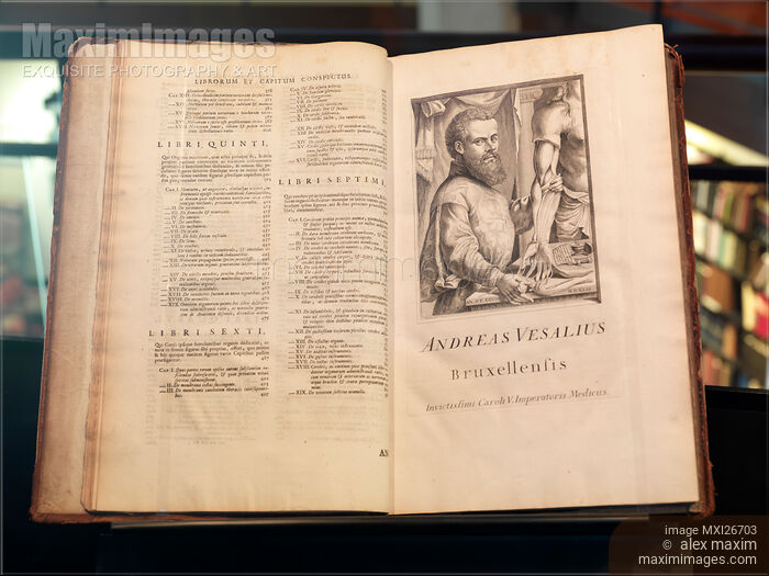 Stock photo of Andreas Vesalius De Humani Corporis Fabrica anatomy book Buy commercial use license at MaximImages