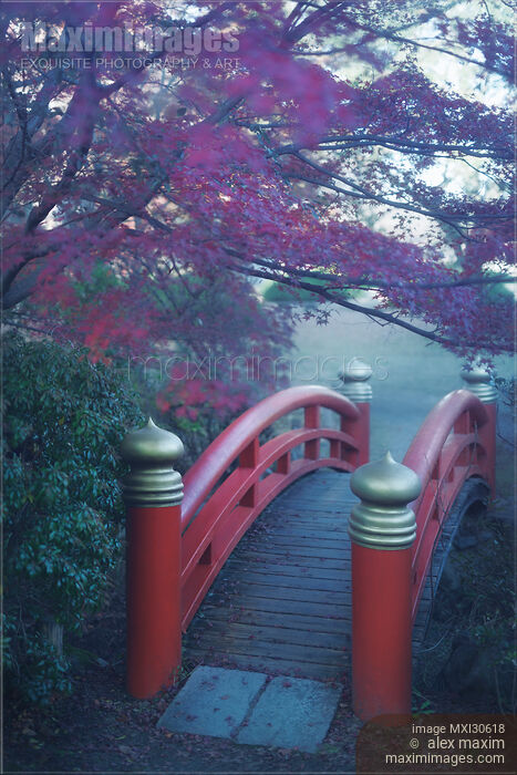 Stock photo of Arched red bridge in a Japanese garden misty scenery Buy commercial use license at MaximImages