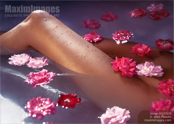 Artistic closeup of nude woman legs in a bath with pink roses floating in water Stock photo of Artistic closeup of nude woman legs in a bath with pink roses floating in water Buy commercial use license at MaximImages