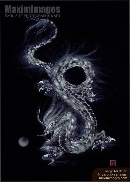 Artistic design of an asian dragon Taoist symbol with his Pearl of Wisdom grey on black Stock image of Artistic design of an asian dragon Taoist symbol with his Pearl of Wisdom grey on black Buy commercial use license at MaximImages