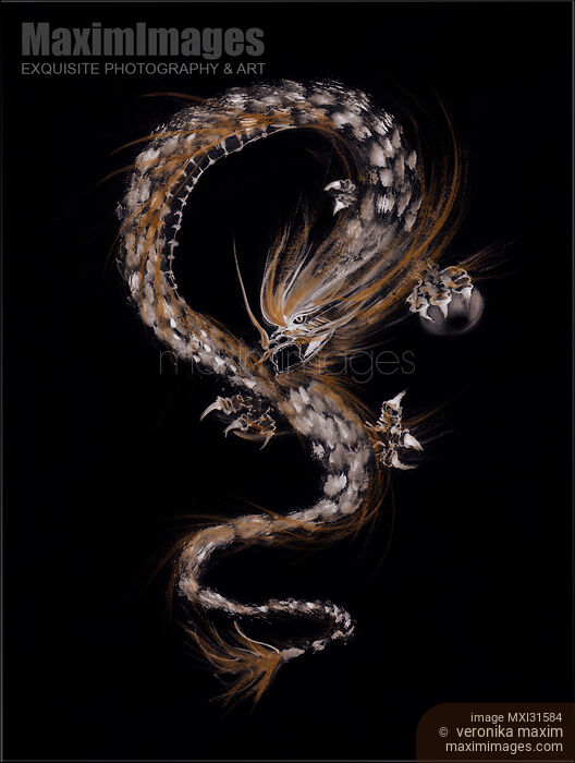 Stock image of Artistic illustration of a fire dragon protecting the pearl of wisdom on black Buy commercial use license at MaximImages