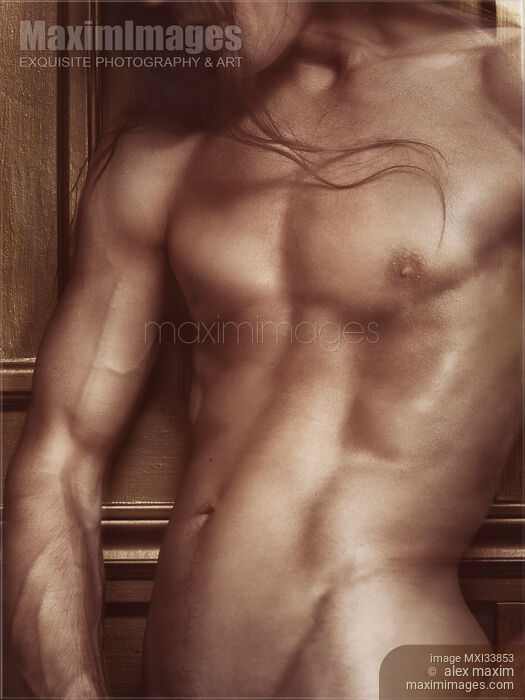 Stock photo of Artistic nude closeup of a nude man bare torso muscular body in golden colors Buy commercial use license at MaximImages