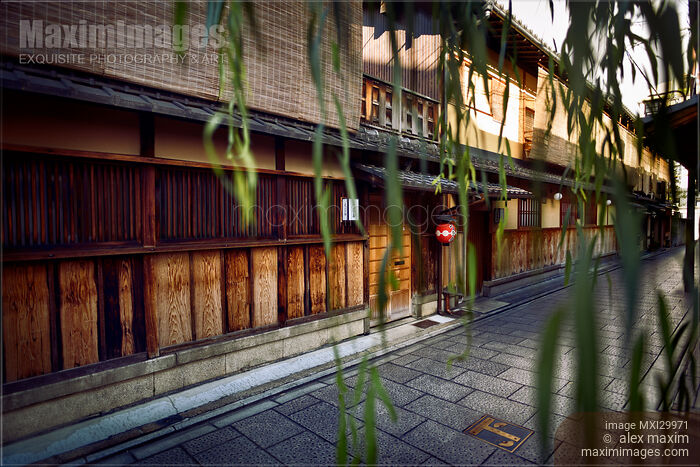 Stock photo of Artistic photo of Japanese restaurant front entrance through tree leaves Gion Kyoto Japan Buy commercial use license at MaximImages