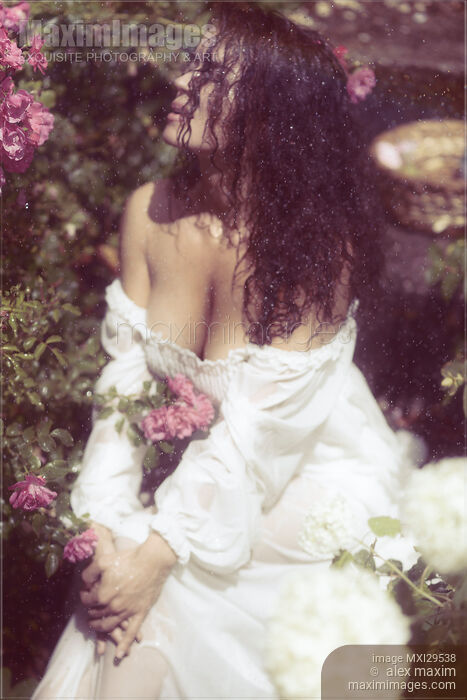 Artistic portrait of a beautiful woman in wet clothes sitting in rose garden on a rainy day Stock photo of Artistic portrait of a beautiful woman in wet clothes sitting in rose garden on a rainy day Buy commercial use license at MaximImages