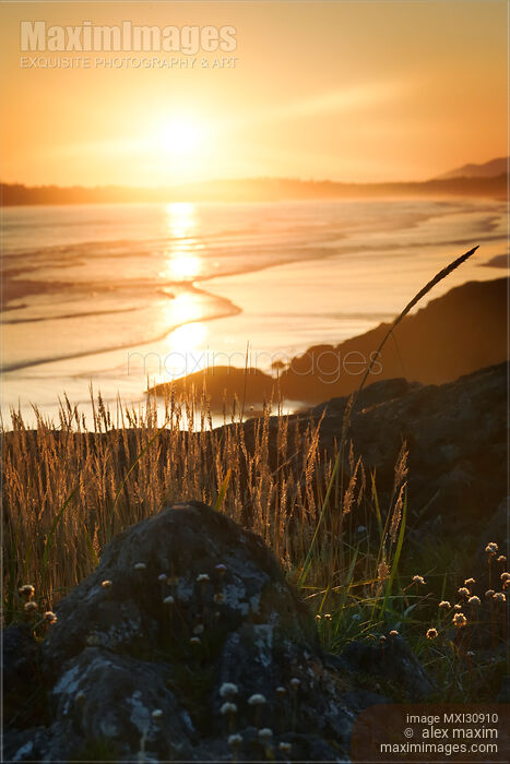 Stock photo of Artistic scenery at Pacific Rim National Park beach in soft light of the setting sun Vancouver Island BC Buy commercial use license at MaximImages