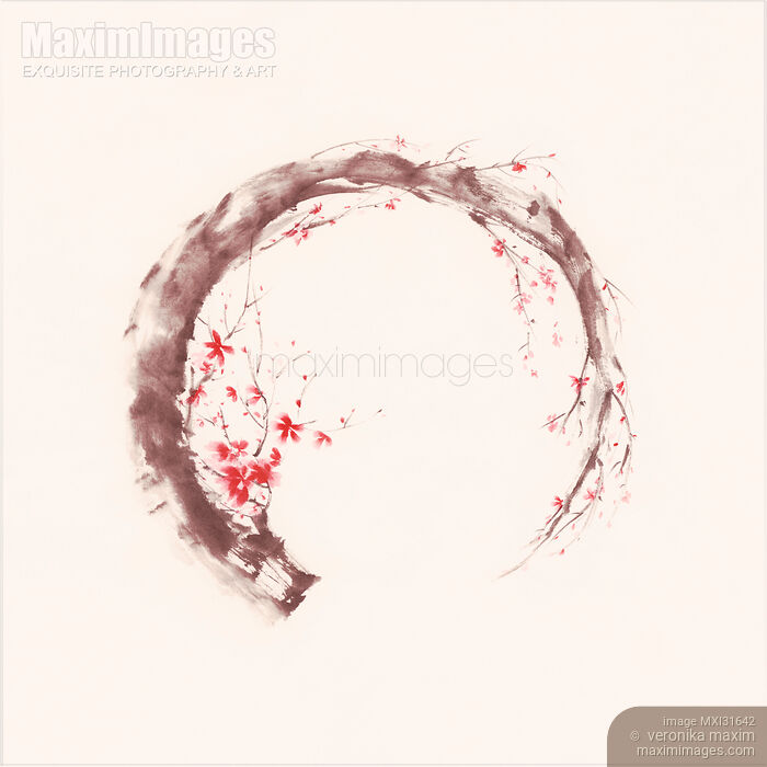 Artistic sumi-e illustration of a blossoming sakura branch in a shape of the Enso ring Zen concept Stock image of Artistic sumi-e illustration of a blossoming sakura branch in a shape of the Enso ring Zen concept Buy commercial use license at MaximImages