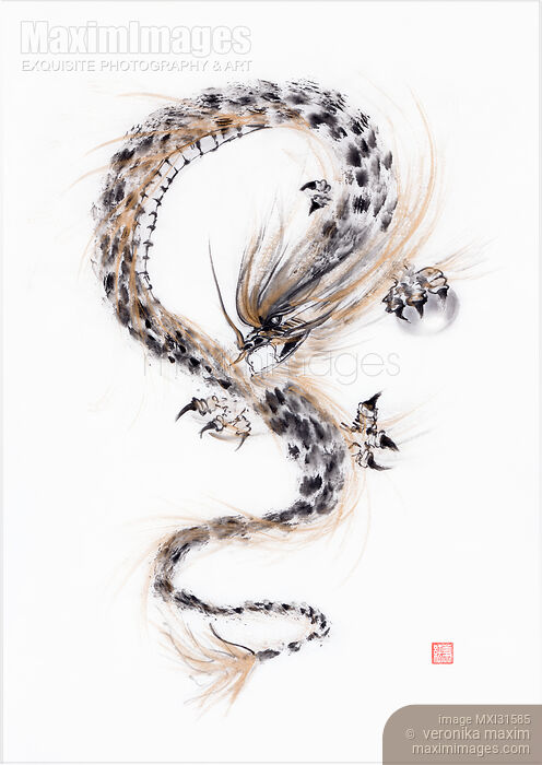 Stock image of Asian Dragon with the Night Shining Pearl sumi-e black ink painting on white Buy commercial use license at MaximImages