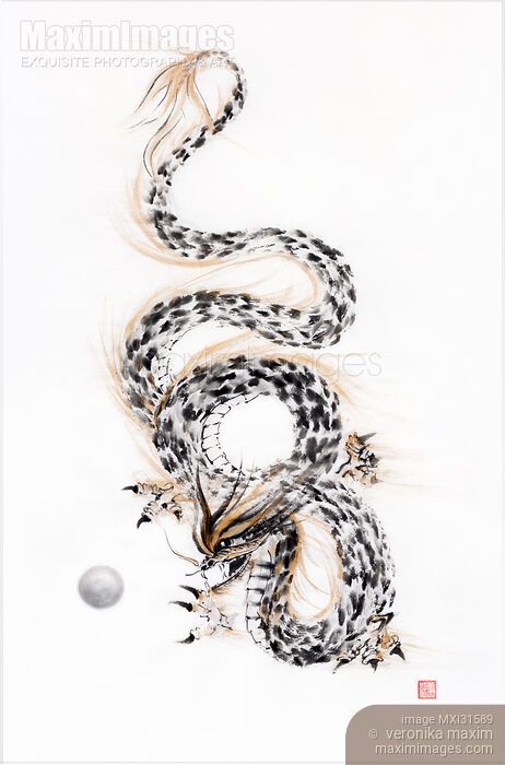 Asian mystical coiled dragon and his pearl of wisdom sumi-e ink painting Stock image of Asian mystical coiled dragon and his pearl of wisdom sumi-e ink painting Buy commercial use license at MaximImages