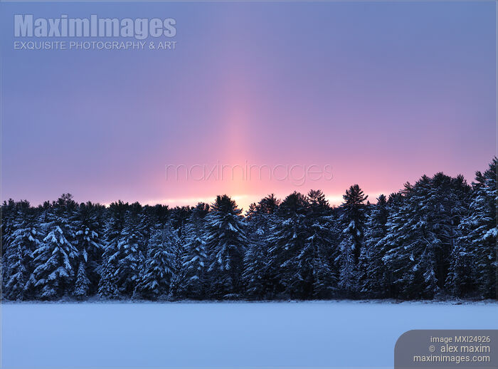 Atmospheric sunset winter nature scenery Stock photo of Atmospheric sunset winter nature scenery Buy commercial use license at MaximImages