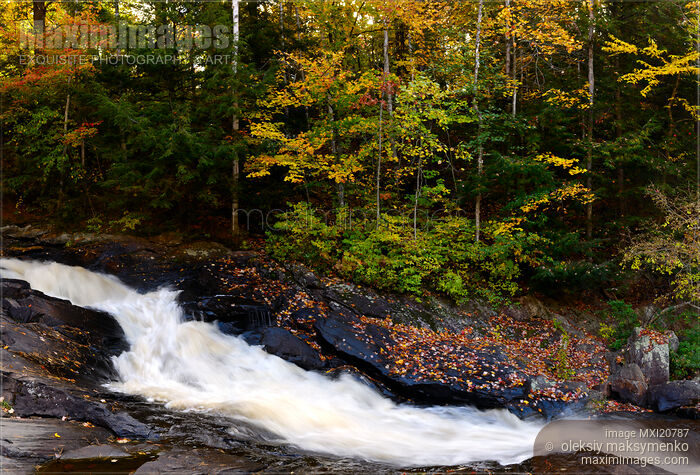 Stock photo of Autumn in Arrowhead Provincial Park Buy commercial use license at MaximImages