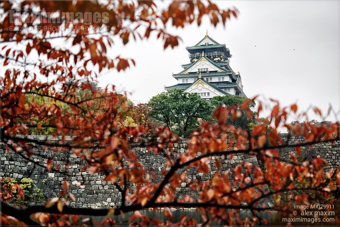 Stock photo of Autumn morning scenery of Osaka Castle through red autumn tree branches Buy commercial use license at MaximImages