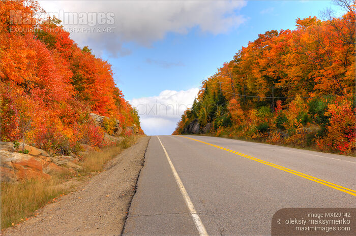 Autumn Nature Stock photo of Autumn Nature Buy commercial use license at MaximImages