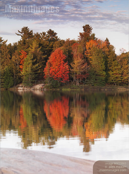 Autumn Nature Lake and Trees Stock photo of Autumn Nature Lake and Trees Buy commercial use license at MaximImages