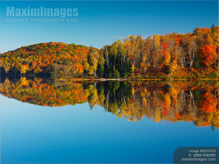 Stock photo of Autumn nature scenery of colorful forest reflecting in still water Canada Buy commercial use license at MaximImages