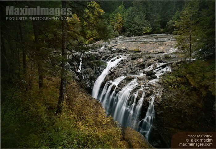 Stock photo of Autumn nature scenery of Englishman River Falls Provincial Park on Vancouver Island Buy commercial use license at MaximImages