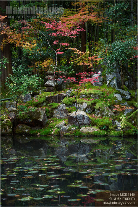 Stock photo of Autumn scenery at Tenjuan Temple Japanese pond garden Buy commercial use license at MaximImages