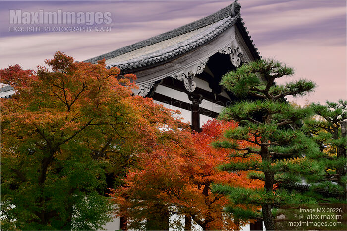 Stock photo of Autumn scenery of a Japanese garden at Tofuku-ji Kyoto Buy commercial use license at MaximImages