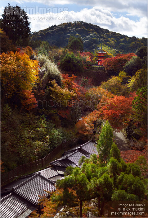 Autumn scenery of Kiyomizu-dera temple grounds with view on Koyasu pagoda Kyoto Japan Stock photo of Autumn scenery of Kiyomizu-dera temple grounds with view on Koyasu pagoda Kyoto Japan Buy commercial use license at MaximImages